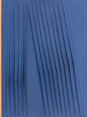 Nando Stevoli, Pleating, 2016