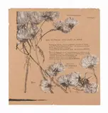 Tommaso Cascella, Reclame della Ditta F.lli Pascale, lithograph incisa on due lati di Tommaso Cascella senior da "L'Illustrazione Abruzzese" Fronte