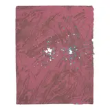 Joe Goode, Untitled (2) (Cirrus Editions pp. 254-255)