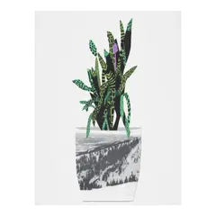 Untitled by Jonas Wood, 2014, Lithograph and screenprint in colors on wove paper, sold Sep 2025