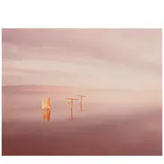 'Salton Sea' (Submerged Clothesline) by Richard Misrach, 1983, Chromogenic print; signed, sold Feb 2026