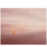 Richard Misrach, 'Salton Sea' (Submerged Clothesline)