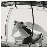 Manuel Álvarez Bravo, Caballo de Feria (Fairground Horse)