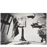 Philippe Halsman, Halsman/Dali (Portfolio)