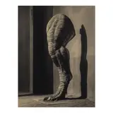 Joan Fontcuberta, 'Tyrannosaurus' Leg' (from 'Science & Fiction'), 1989, Gelatin silver print