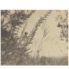 František Drtikol, Montage with Nude Figure in a Meadow, c. 1930, Gelatin silver print; flush-mounted