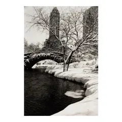 Alfred Eisenstaedt, Central Park after a Snowstorm, New York City, 1959, Gelatin silver print