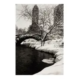 Alfred Eisenstaedt, Central Park after a Snowstorm, New York City