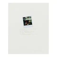 Robert Heinecken, Untitled (from 'He/She'), 1980, Unique Polaroid SX-70 print; mounted