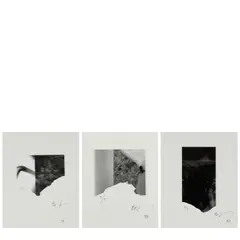 Eikō Hosoe, Selected Mini-Graphs (#2, #3, #5), 1993, Three gelatin silver prints; each torn by the photographer and mounted, each signed
