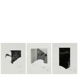 Eikō Hosoe, Selected Mini-Graphs (#2, #3, #5), 1993, Three gelatin silver prints; each torn by the photographer and mounted, each signed