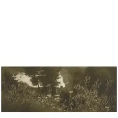 Josef Sudek, Untitled (Landscape), c. 1970, Gelatin silver print; signed in pencil in the black margin