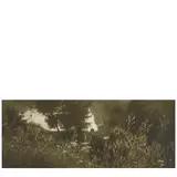 Josef Sudek, Untitled (Landscape), c. 1970, Gelatin silver print; signed in pencil in the black margin
