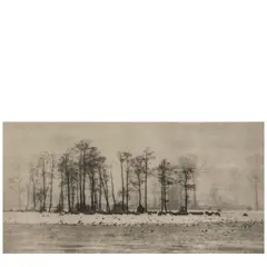 Peter Henry Emerson, A Winter Pastoral (from 'Marsh Leaves'), 1895, Photogravure; framed, a Thackrey & Robertson, San Francisco, label on the reverse