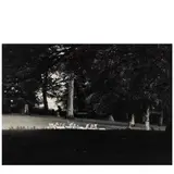 Paul Caponigro, Standing White Deer, Ireland
