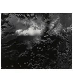 Paul Caponigro, Frosted Window, Revere, Massachusetts, 1957, Gelatin silver print