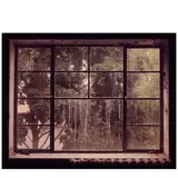 John Pfahl, '31 Prince Street, Rochester, New York', 1978, Chromogenic print