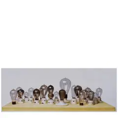 Catherine Wagner, The 1890s (from 'A Narrative History of the Light Bulb'), 2006, Chromogenic print; flush-mounted to aluminum