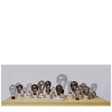 Catherine Wagner, The 1890s (from 'A Narrative History of the Light Bulb'), 2006, Chromogenic print; flush-mounted to aluminum