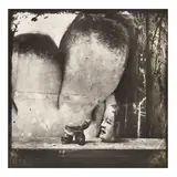 Joel-Peter Witkin, '"Mask and Severed Genitalia as Netsuke," New Mexico', 1987, Toned gelatin silver print; signed