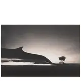 Michael Kenna, 'Whale + Potted Tree, Berkeley, California'