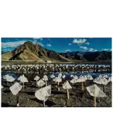 Yin Xiuzhen, Living Water, 1996, Chromogenic print; flush-mounted