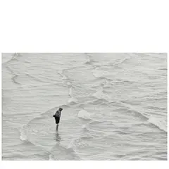 Brighton (Waves) by Elliott Erwitt, 1956, Gelatin silver print, sold Feb 2026