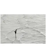 Elliott Erwitt, Brighton (Waves), 1956, Gelatin silver print