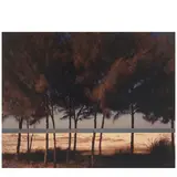 John Pfahl, 'Australian Pines, Fort DeSoto, Florida', 1977, Chromogenic print; signed