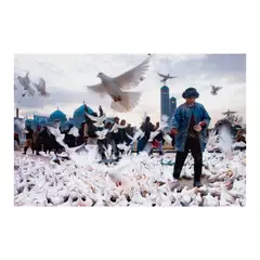James Hill, Untitled, photograph, 2001