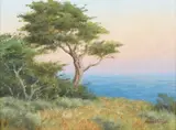 David Chapple, Untitled, oil