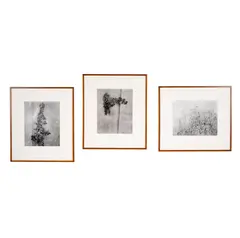 each: by Min Byung-Hun, gelatin silver print, 1996, ed.s 2/20, 1/10, and 15/20 respectively, each, sold Mar 2026