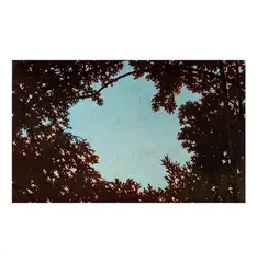 Carlton Nell, Untitled, oil on wood panel, 2002