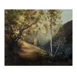 Mitsuzo Shimizu, Untitled, oil on canvas