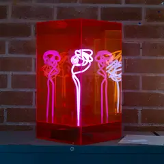 Pink, Untitled, acrylic box neon art piece
