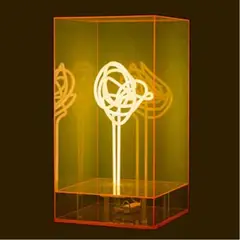Maurice Orange, Untitled, acrylic box neon art piece