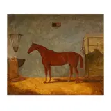 Richard Whitford, Chestnut Horse, 1859, oil on canvas, relined
