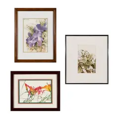 DeWitt Hardy, Three Works 1] Iris, Watercolor on paper