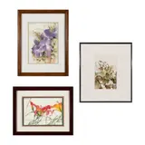 DeWitt Hardy, Three Works 1] Iris, Watercolor on paper