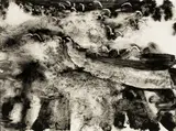 William Thon, Sea and Gulls, Ink on paper