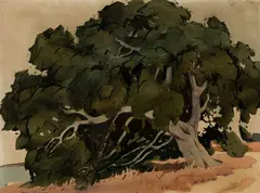 Old Tree by James Fitzgerald, c. 1930, Watercolor on paper, sold Aug 2024