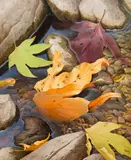 Joyce Dant, River Leaves, Oil on canvas