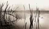 Michael Kenna, Reflection, Broughton Castle
