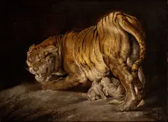 Peter Paul Rubens, Tiger with cubs, Oil on canvas