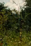 Andrea Tavernier, Wood