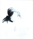 Piero Guccione, Studio da Vermeer