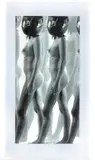 Vincenzo Ceccato, Untitled, 2006, Inkjet on forex in matt plexiglass frame