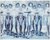Vincenzo Ceccato, Mutazione - Figure vegetali, 2008