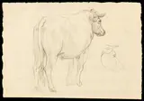 Francesco Londonio, Study for an ox, Pencil on thin laid paper with watermark (crown with CC initials)