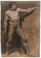 Study of a male nude by Pietro Benvenuti, Black and white chalk over pencil on brown laid paper., offered Apr 2024